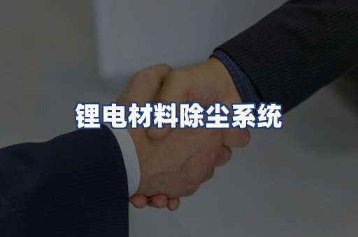 锂电材料除尘系统